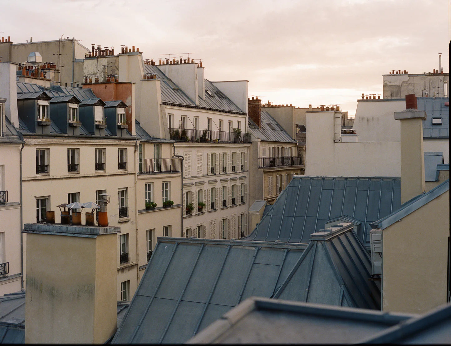 ブライスランズ タオルシャツ L The Towel Shirt｜ブライスランズ東京